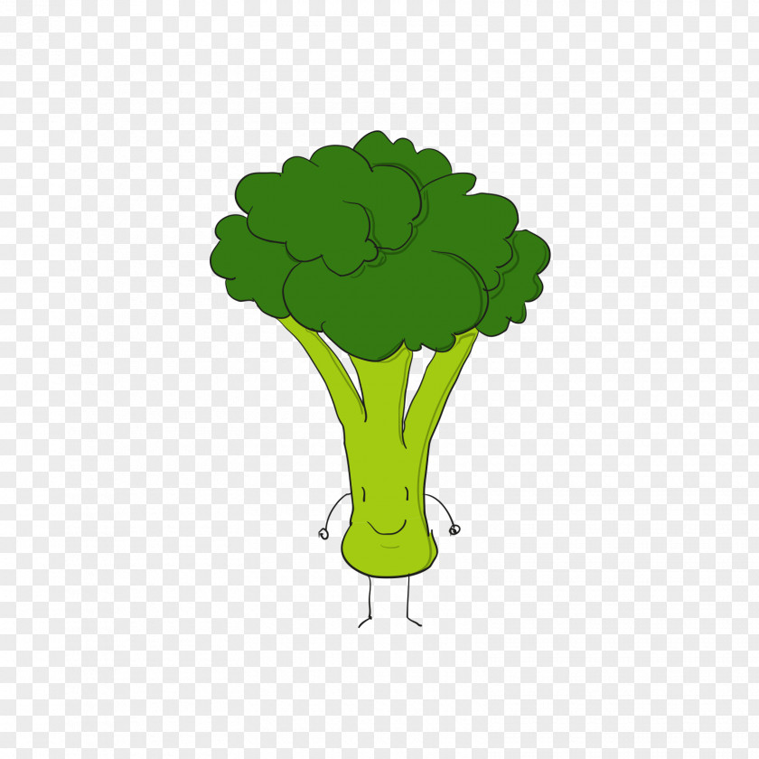 Green Cauliflower Cartoon Broccoli Euclidean Vector PNG