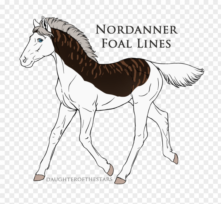 Mustang Mane Foal Pony Colt PNG