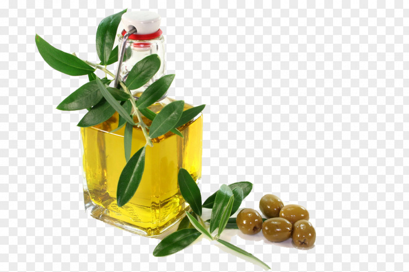 Natural Olive Oil Machine Expeller Pressing PNG