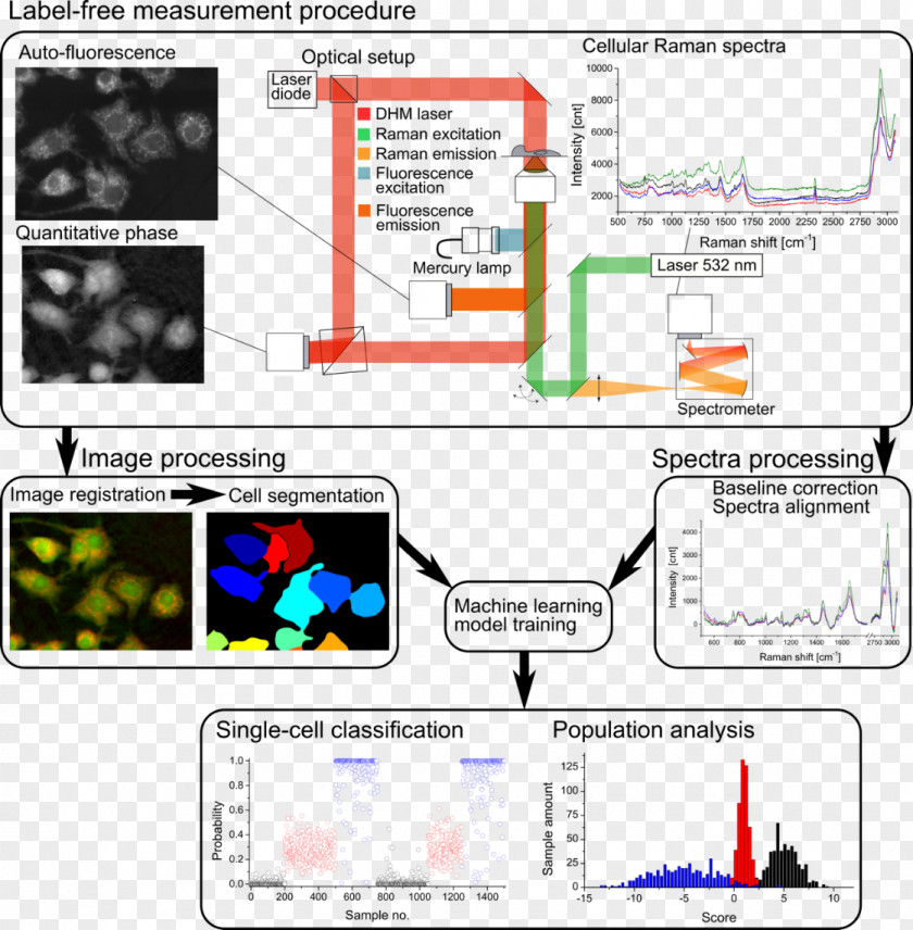 Surface-enhanced Raman Spectroscopy Measurement Cell Research Machine Learning Microscope PNG