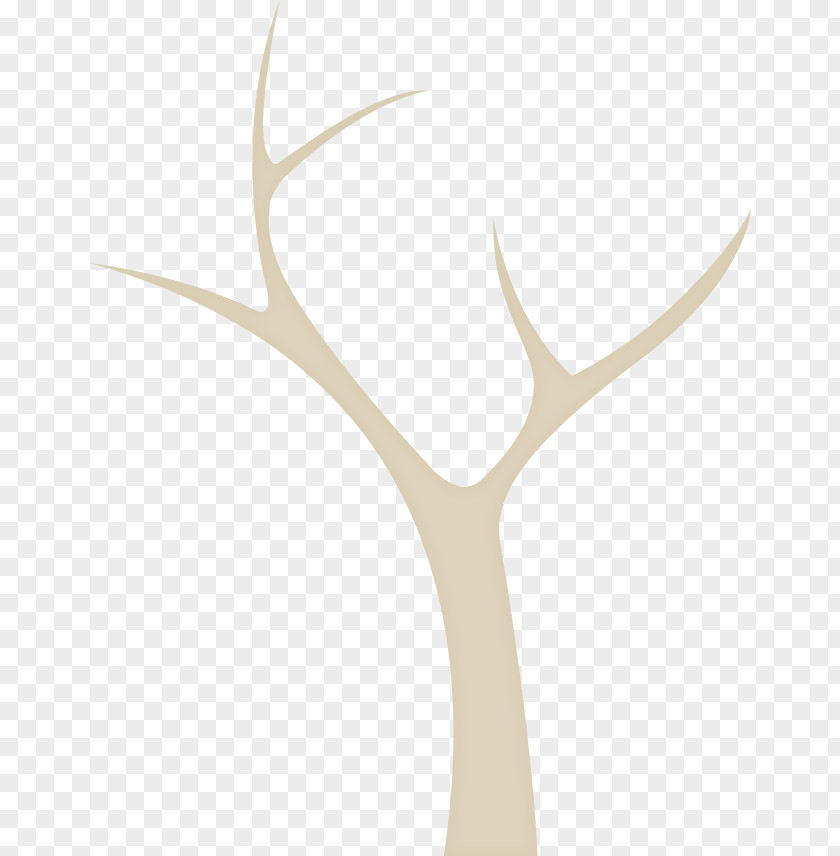 Deer Antler PNG