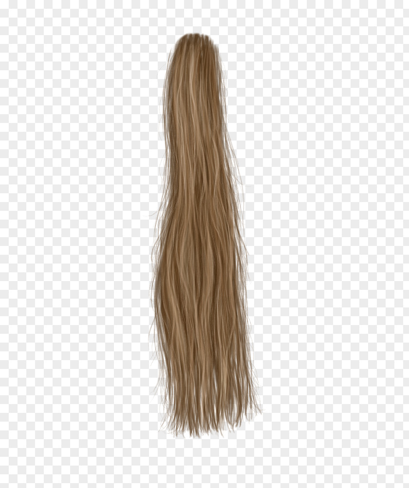Hair Brown Blond Long PNG