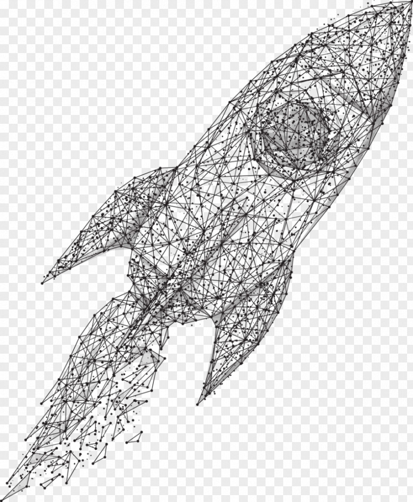 Leaf Line Art Drawing /m/02csf Point PNG