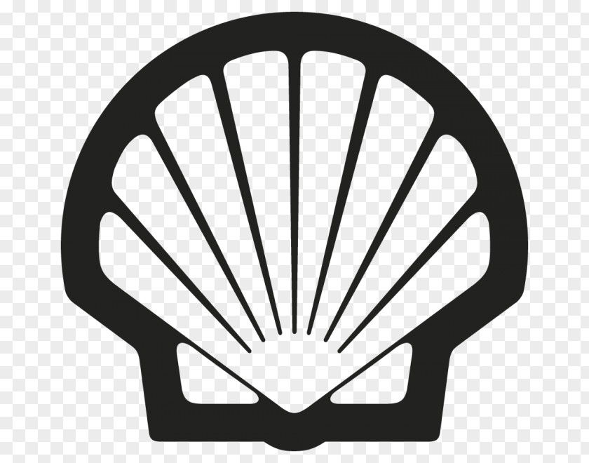 Royal Dutch Shell Logo Oil Company Rimula PNG