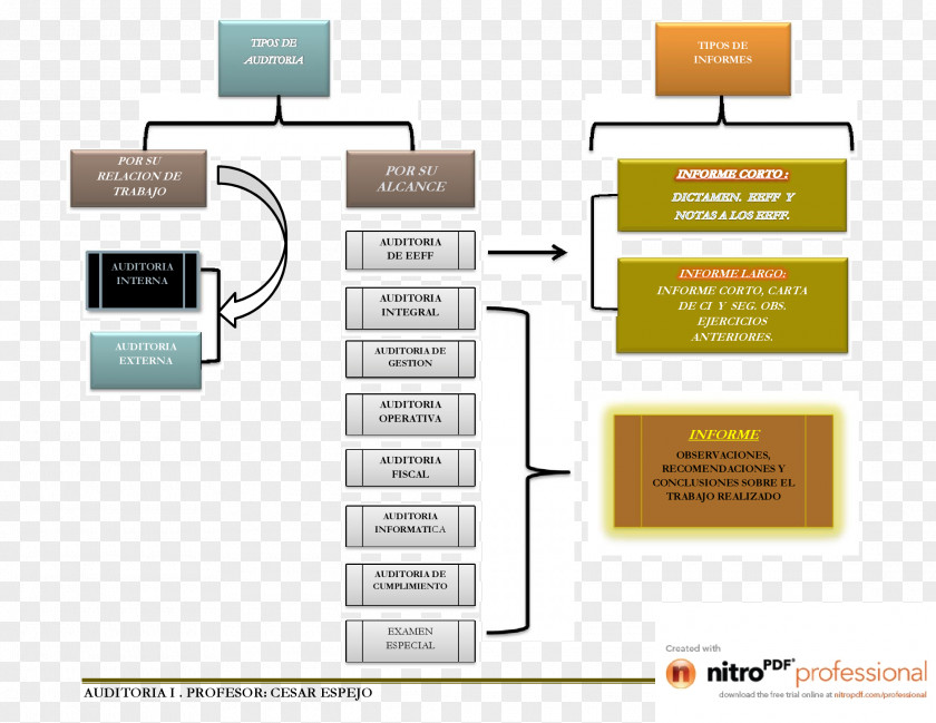 Segurança Audit Report Esquema Conceptual Organization Quality Management System PNG