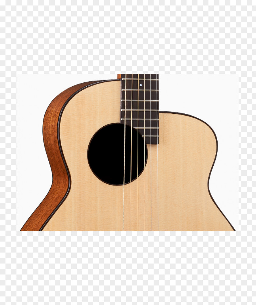 Store Stock Acoustic Guitar Gittler Acoustic-electric PNG