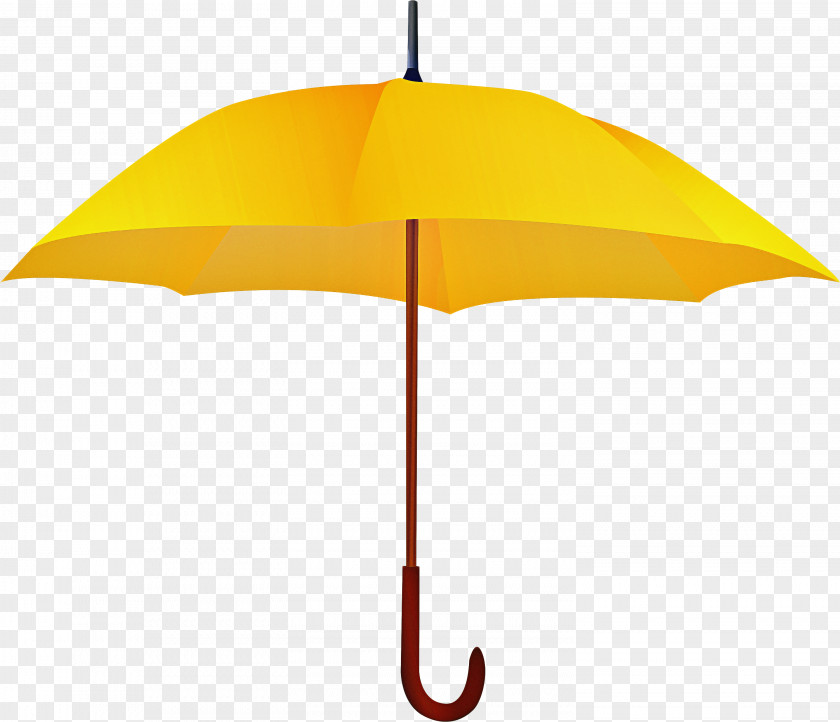 Italian Greyhound Lamp Umbrella Cartoon PNG