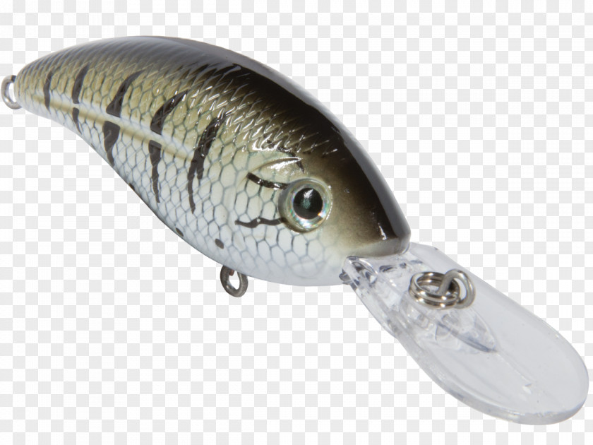 Largemouth Bass Spoon Lure Northern Pike Plug Fishing Tackle PNG