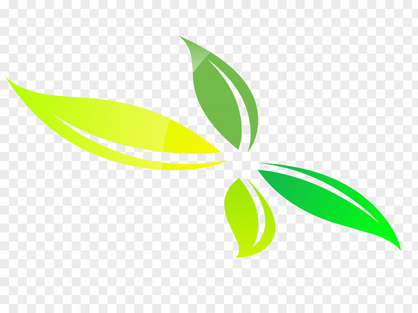 Leaf Green Plant Stem Line Clip Art PNG