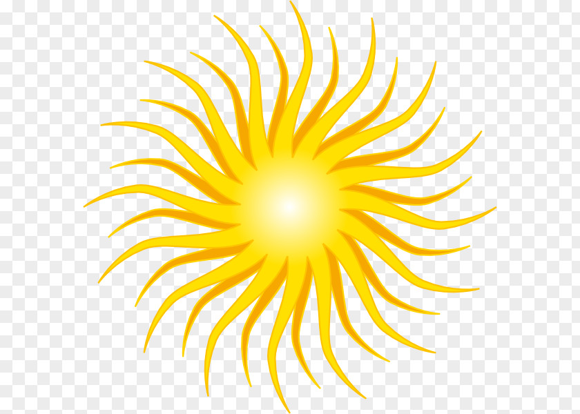 Sun Vectors Sunlight Free Content Clip Art PNG