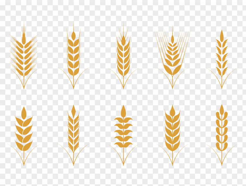 Vector Simple Flat Golden Wheat Pattern Oat Cereal Icon PNG