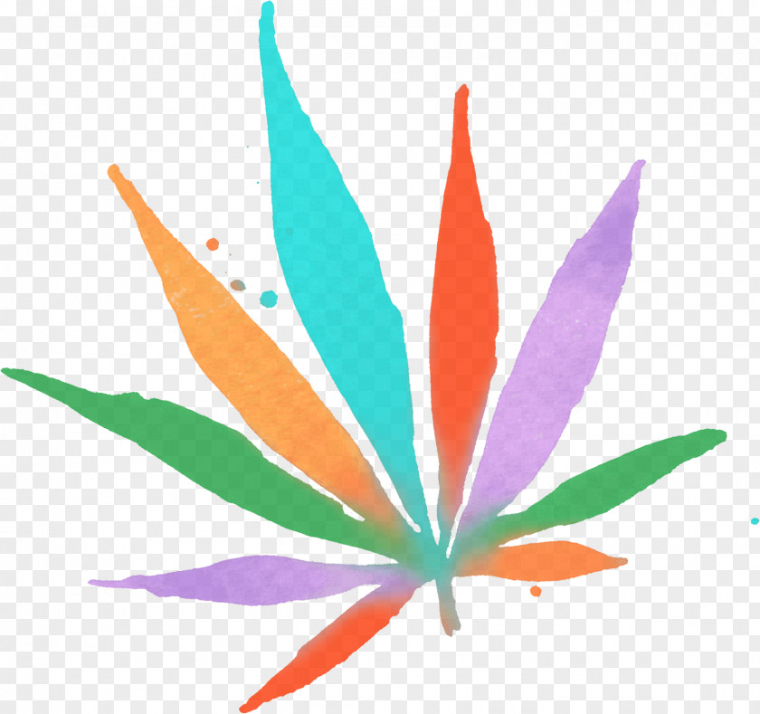Cannabis Legality Of Recreational Drug Use Legalization Non-profit Organisation PNG