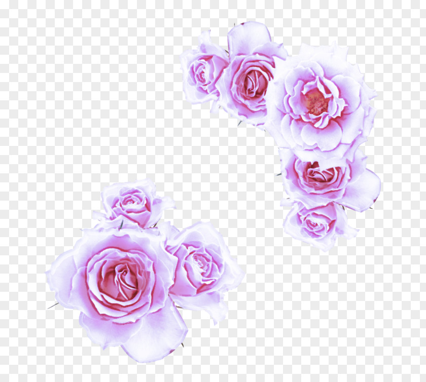 Cut Flowers Purple Garden Roses PNG