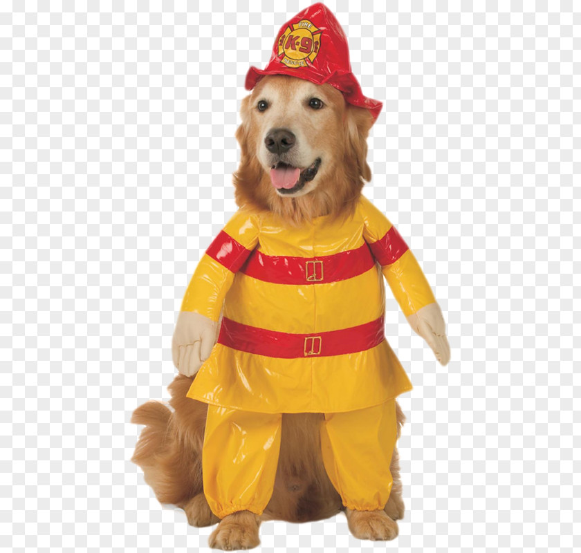 Dog Cat Halloween Costume Pet PNG