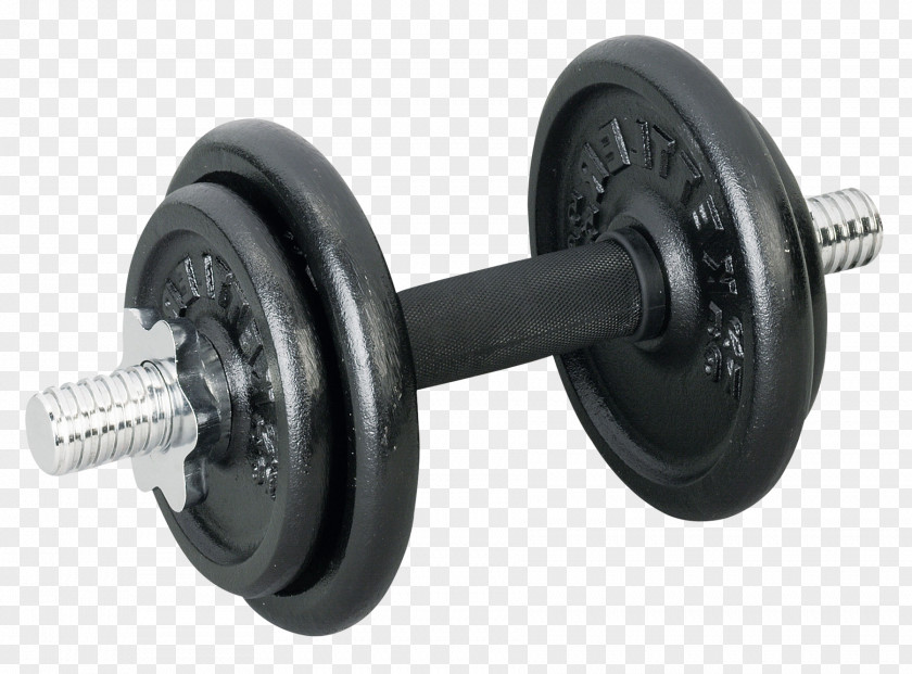 Dumbbell Physical Fitness Exercise PNG