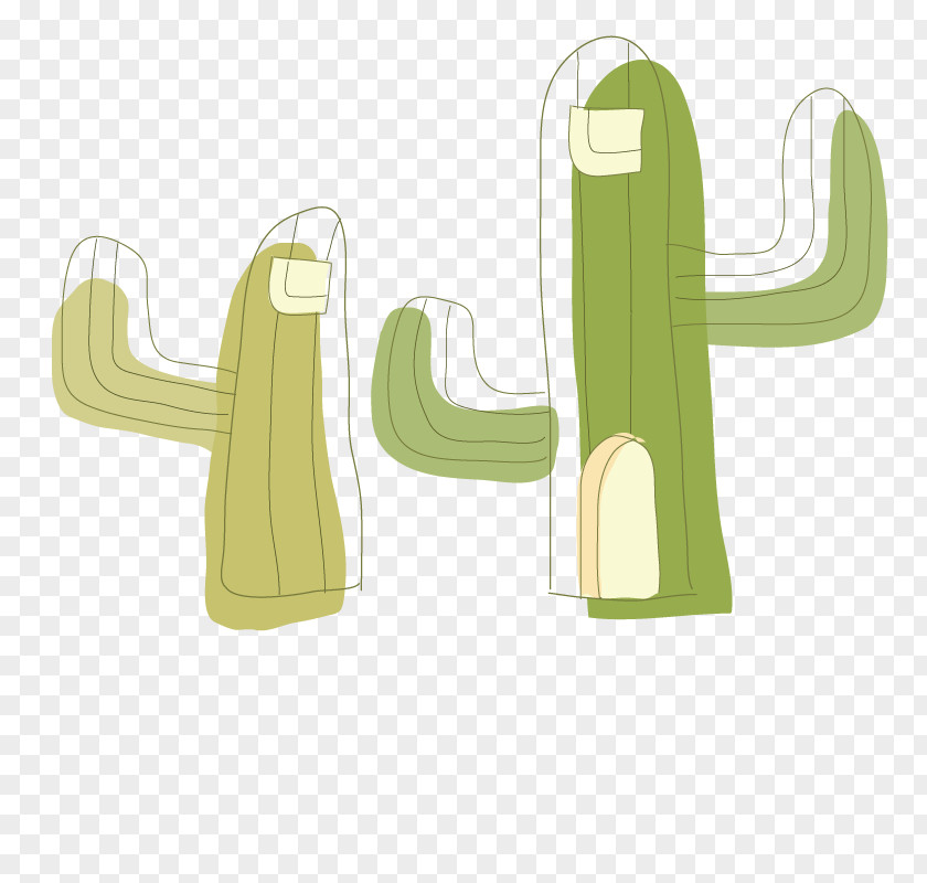 Green Cactus Cactaceae Drawing Succulent Plant Download PNG