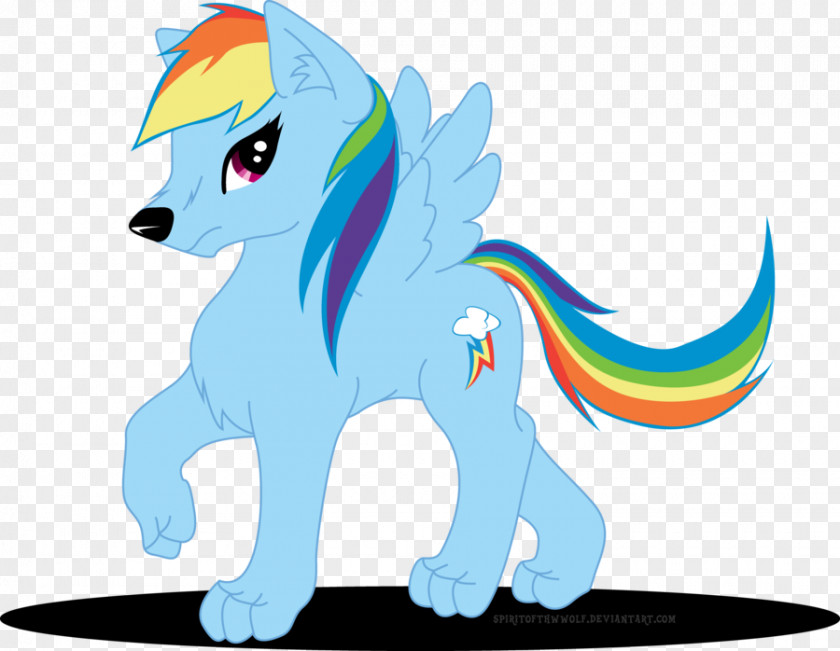 My Little Pony Rainbow Dash Gray Wolf Fluttershy PNG