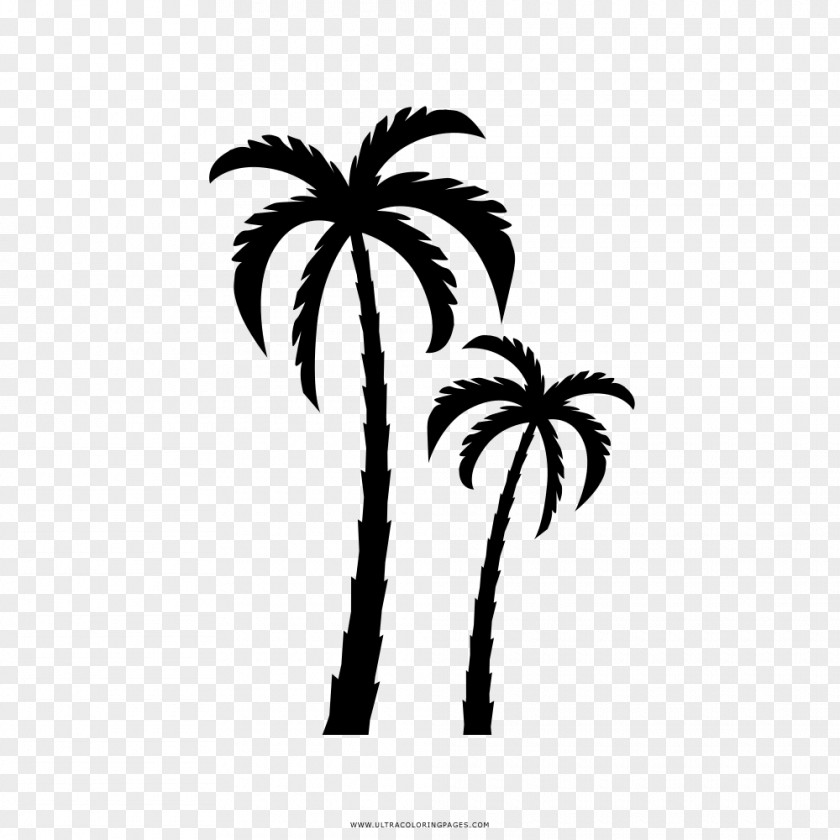 Silhouette Drawing Coloring Book Arecaceae PNG