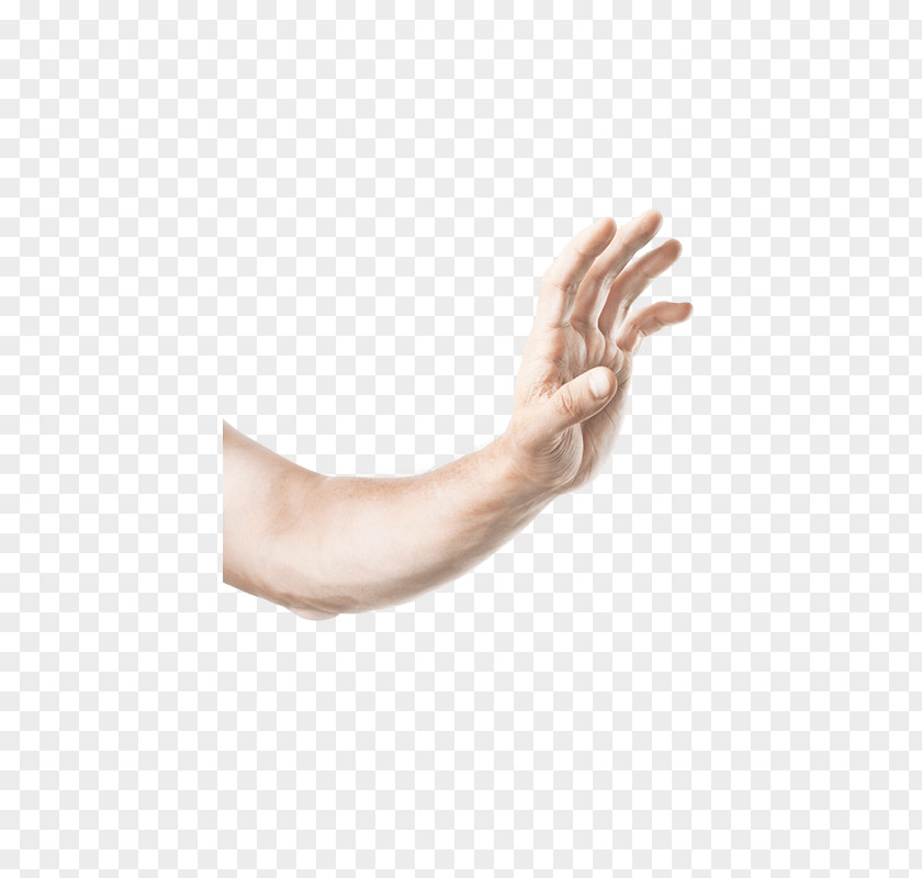 Thumb Genotek Moscow State University Main Building Hand Model Elbow PNG