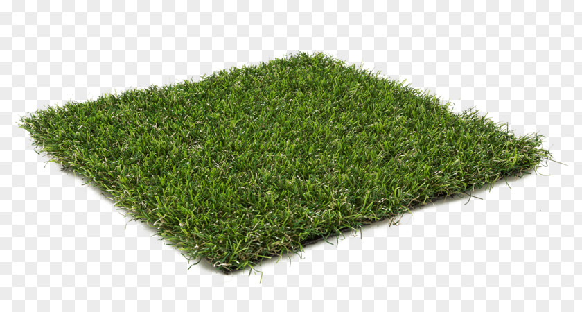 Grass Lawn Artificial Turf Garden Carpet PNG