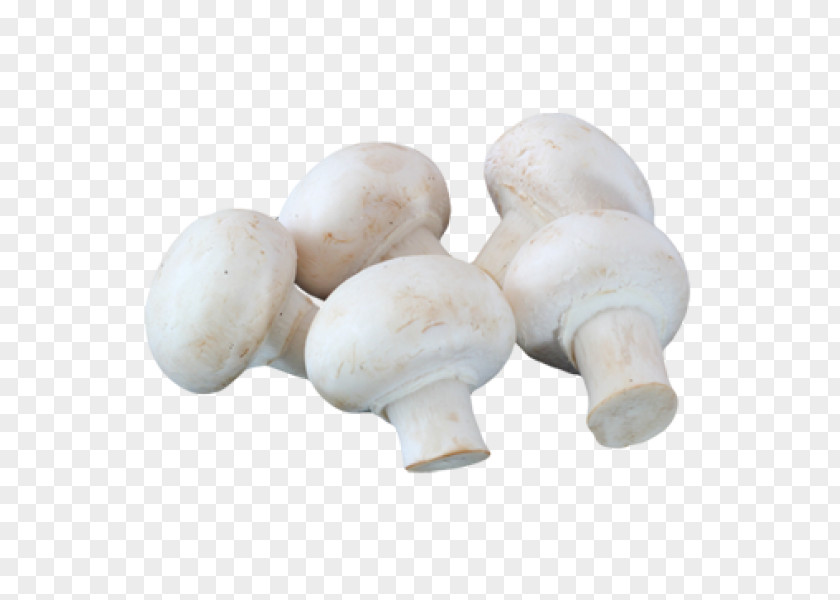 Mushroom Common White Wine Prego Fast Food Vegetable PNG