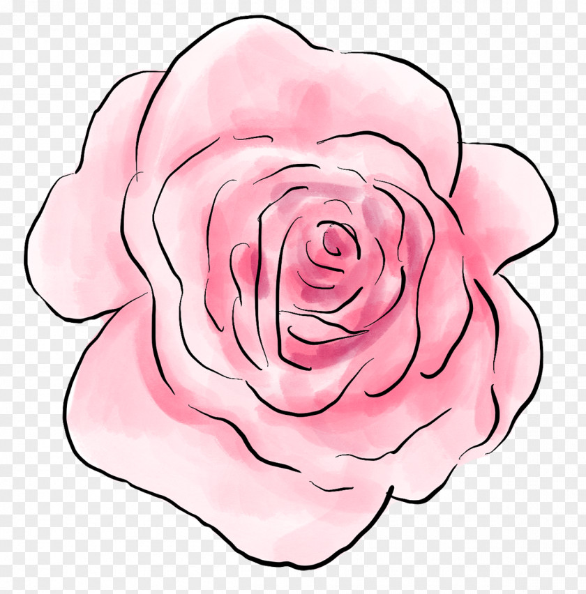 Design Garden Roses Centifolia Floral Cut Flowers PNG