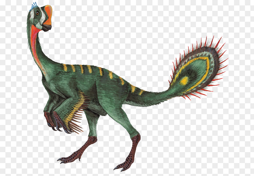 Dinosaur King Nomingia Oviraptor Gigantoraptor Chirostenotes Conchoraptor PNG