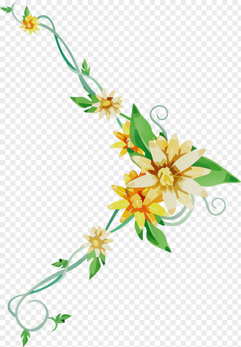 Floral Design PNG