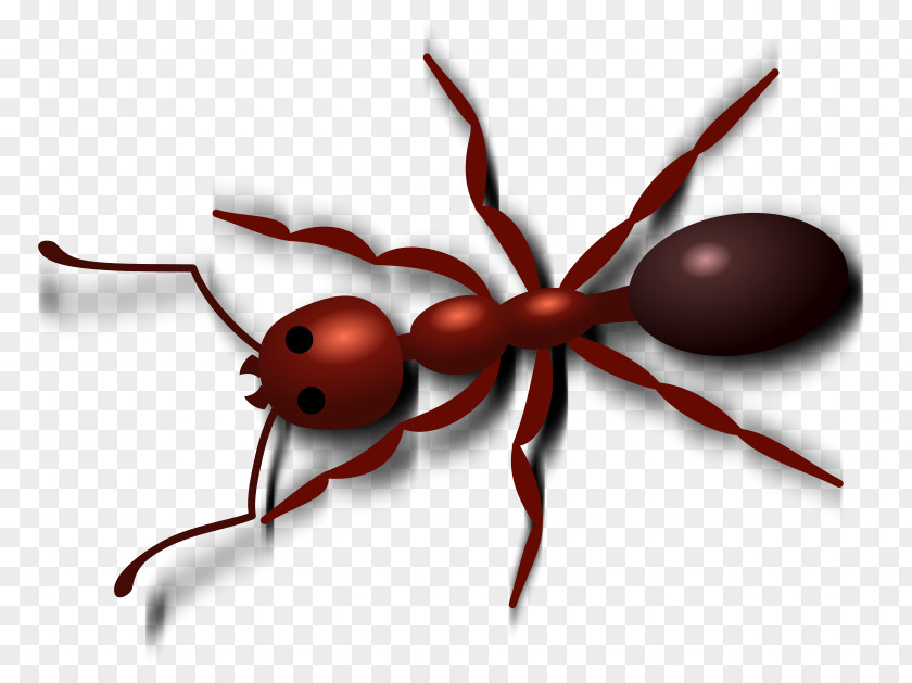 Free Picnic Clipart Fire Ant Content Clip Art PNG