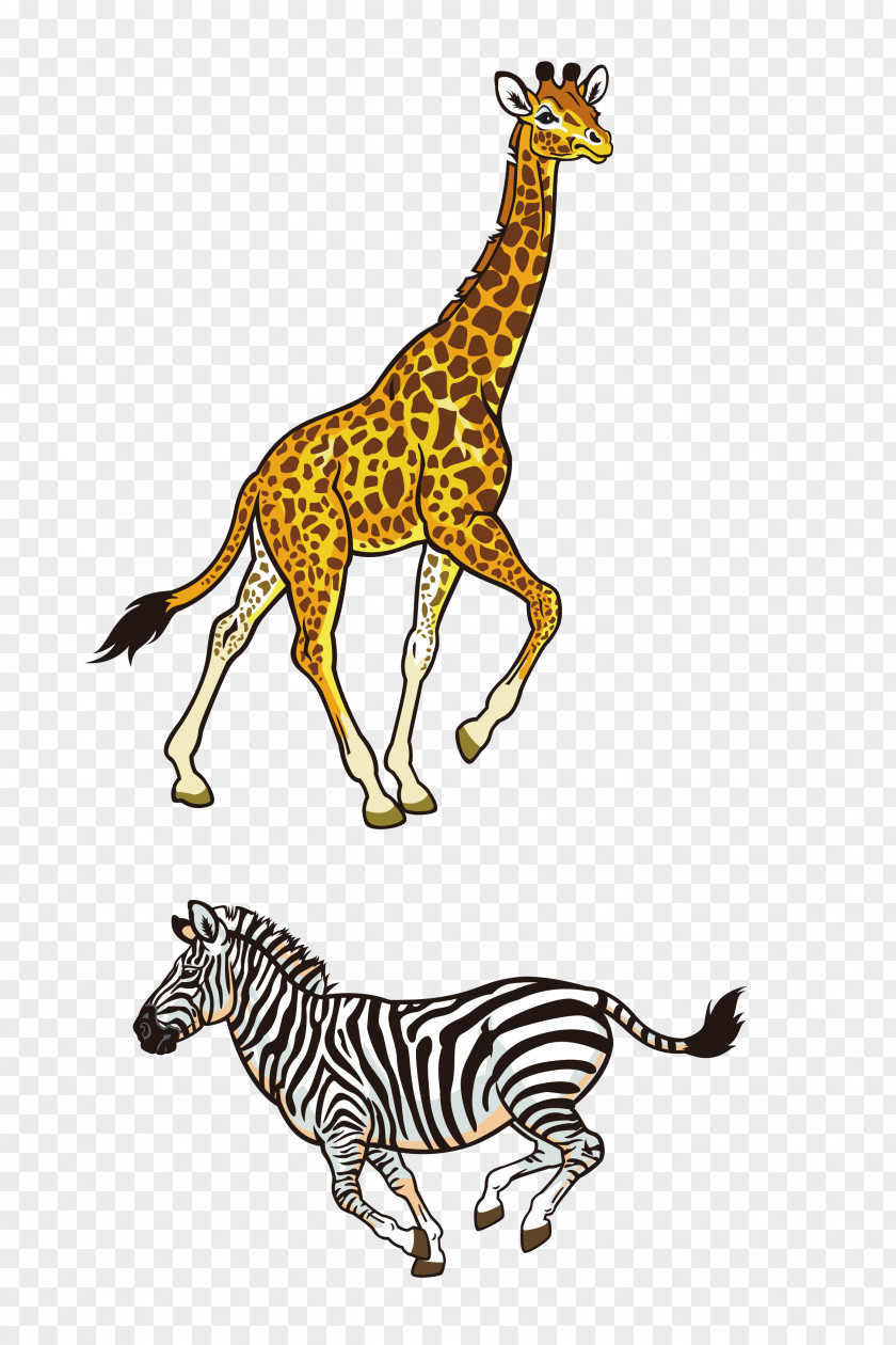 Giraffe Africa Northern Rhinoceros Lion Illustration PNG