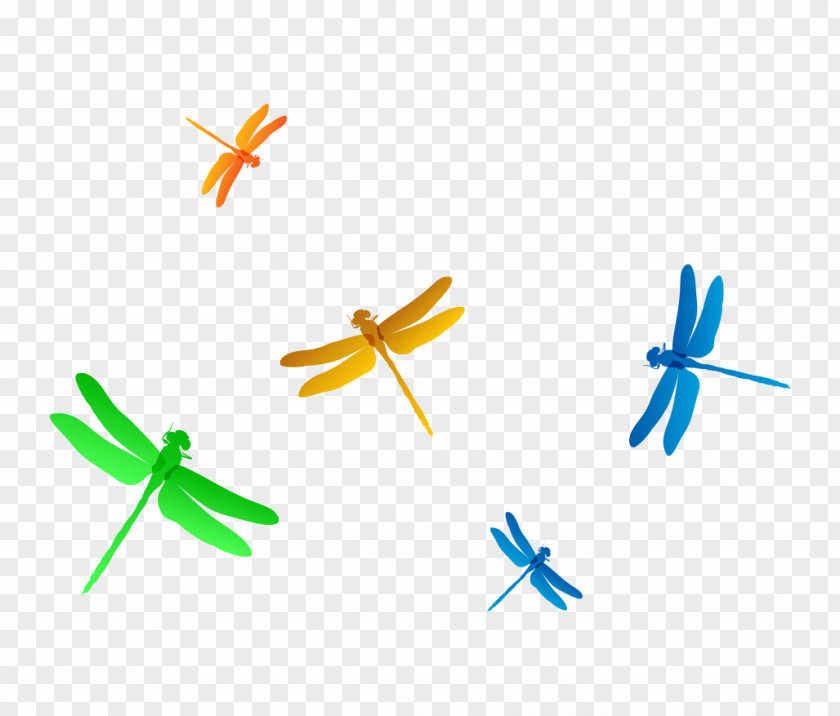 Hand Colored Dragonfly Fly Gradient Euclidean Vector Clip Art PNG