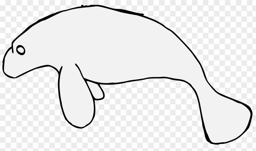 Manatee Map Clip Art Line Dugong Cartoon PNG