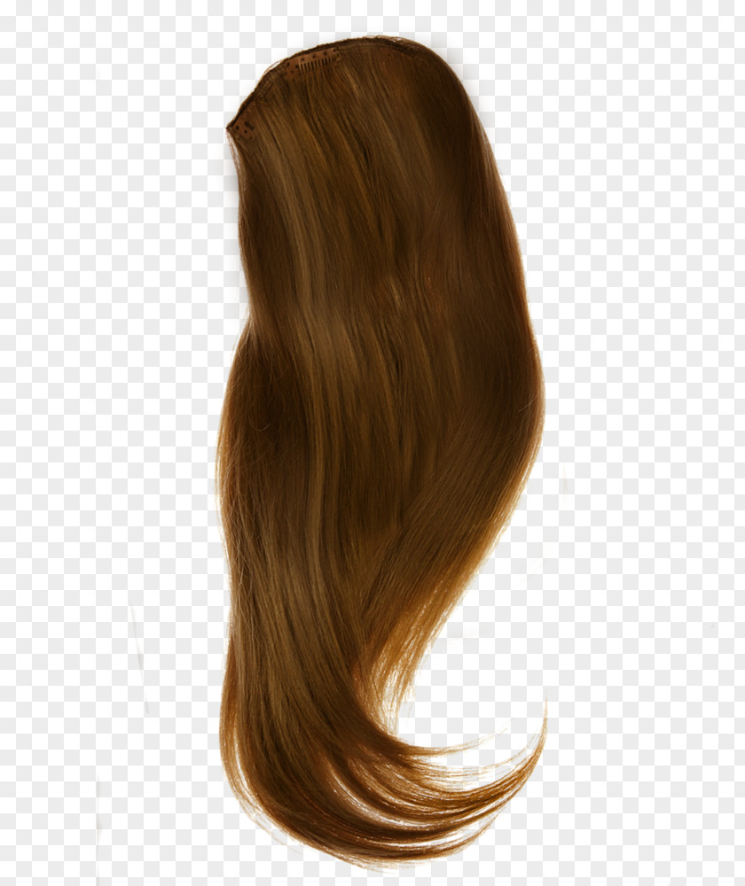 Natural Brown Hair Clip Art PNG