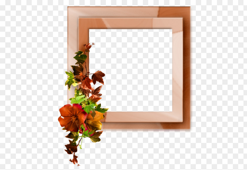 No Background Picture Frames Digital Photography Image PNG