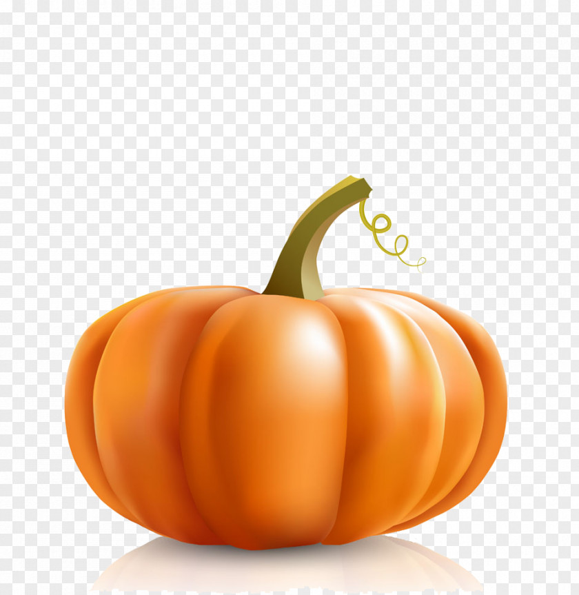 Pumpkin Calabaza Vegetable Halloween PNG