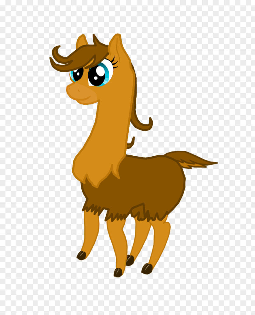 Camel Pony Llama Mammal Fan Art DeviantArt PNG