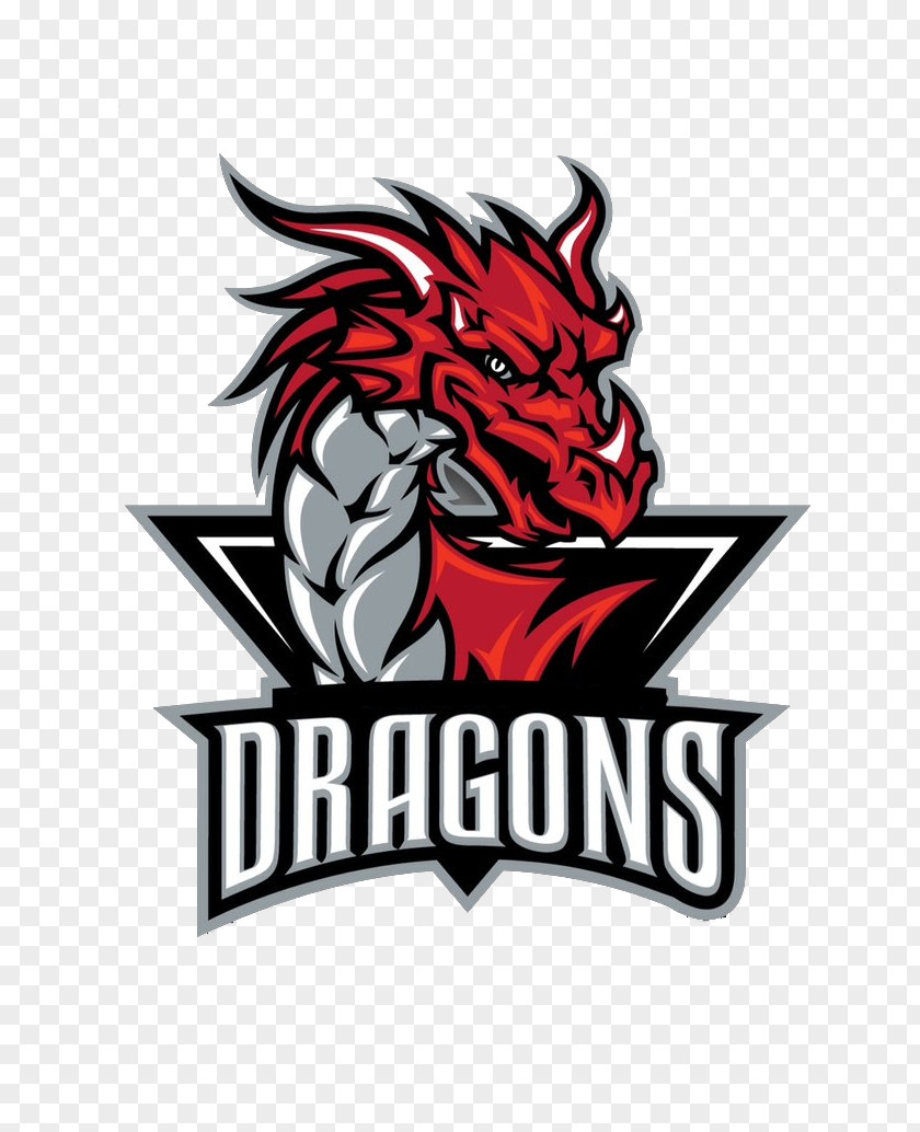 Cricket Players Logo Deeside Dragons Bakersfield Vancouver PNG