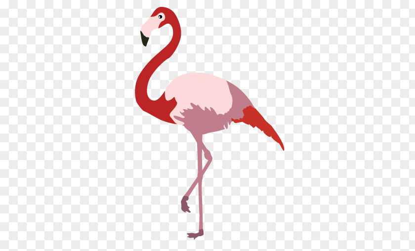 Flamingo Cartoon Bird PNG