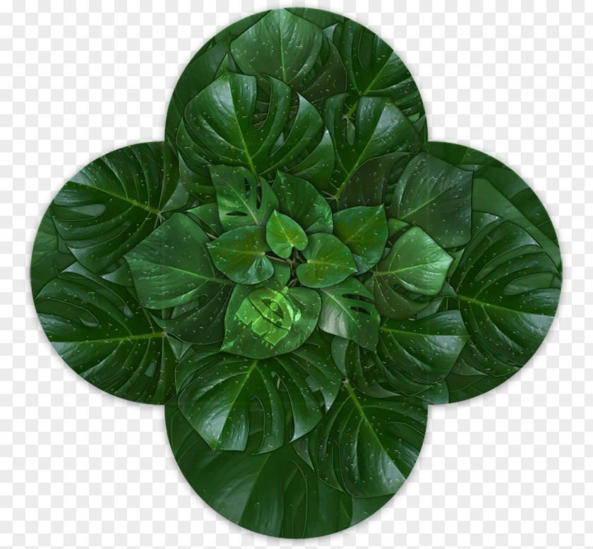 Leaf Design Herb Flowerpot Brochure PNG
