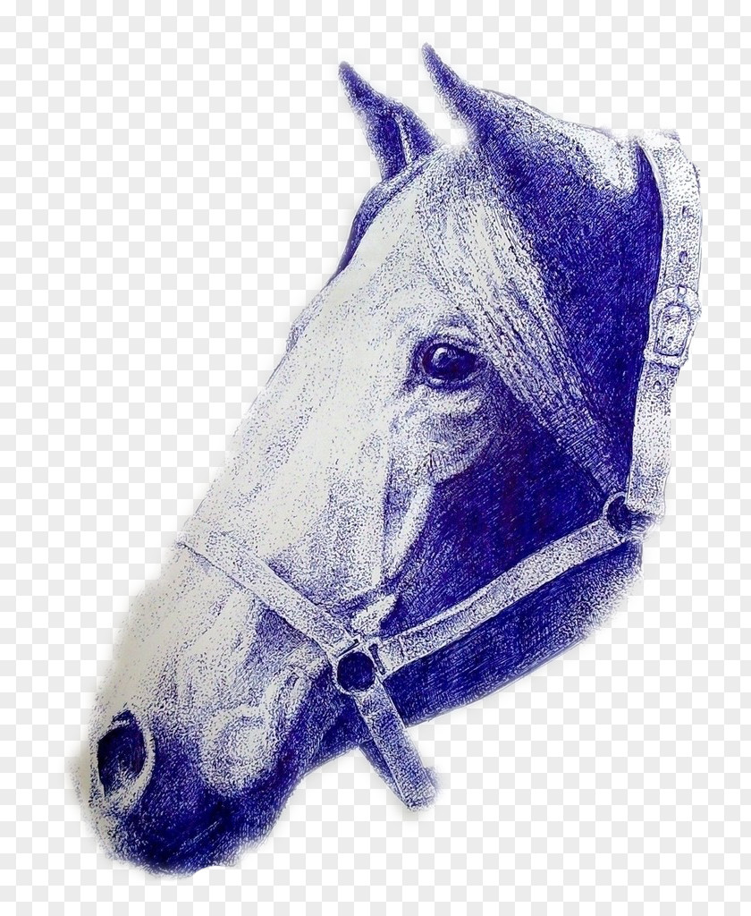 A Hand-painted Horse Illustration PNG