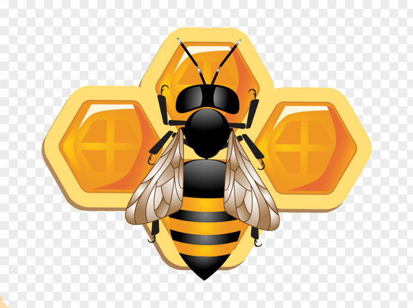 Bee Honey Beehive Beekeeping Queen PNG