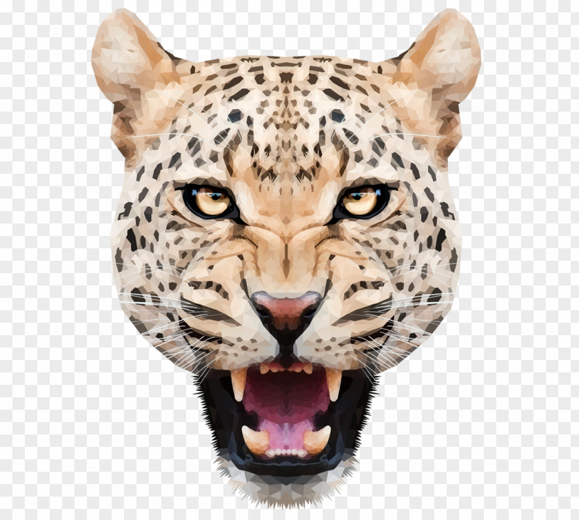 Cheetah Snow Leopard PNG