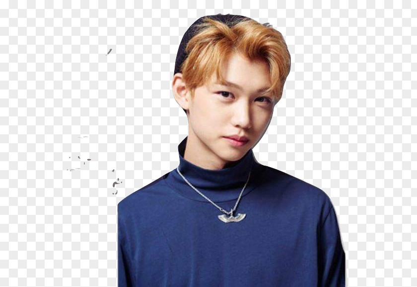 Felix Schoeller Group Stray Kids Hellevator K-pop Child Heart Star PNG