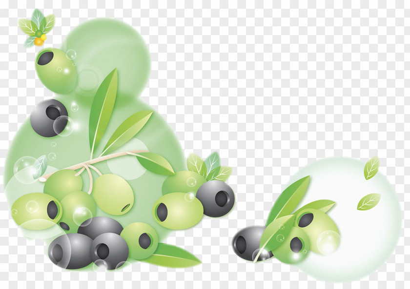 Olive Vector Download PNG