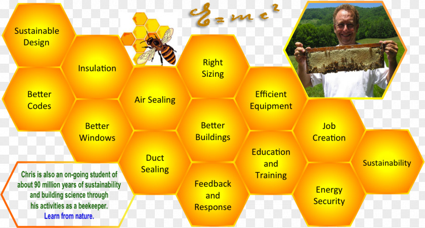 Bee Honey Science Fair Projects Project PNG