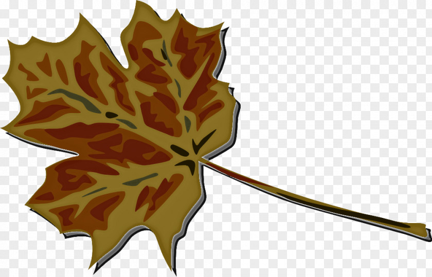 Flower Black Maple Leaf PNG