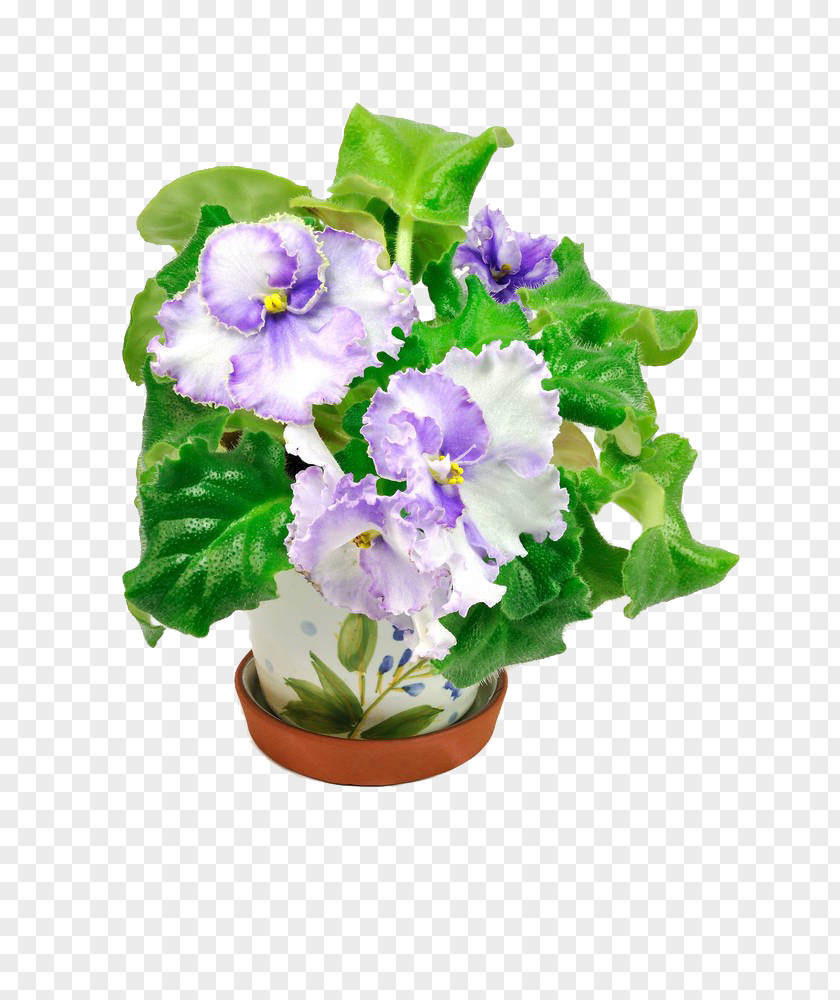 Flowerpot Violet Clip Art PNG