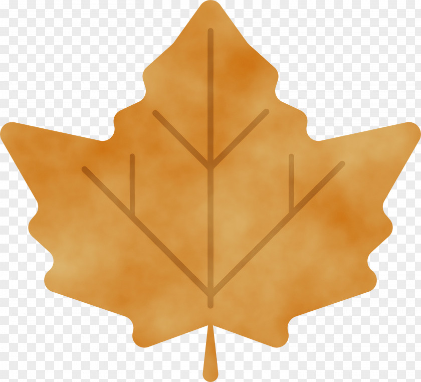 Maple Leaf PNG