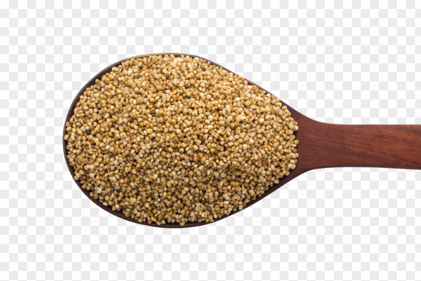 Millet Finger Organic Food Pearl Paspalum Scrobiculatum PNG