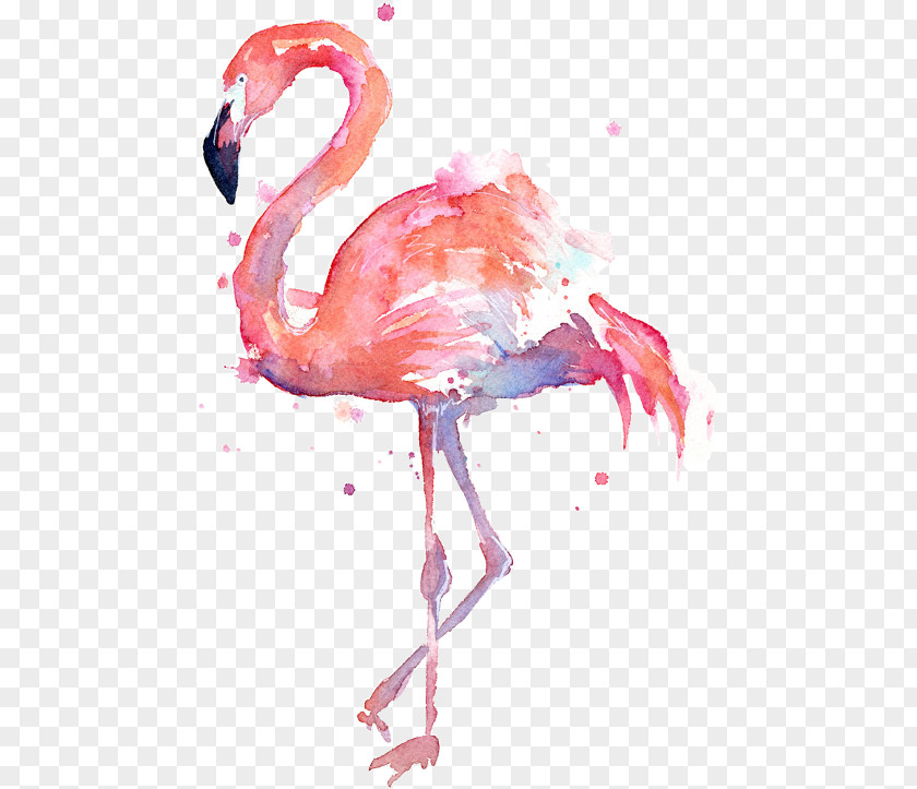Painting Poster Watercolor Art Flamingo PNG